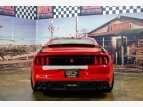 Thumbnail Photo 78 for 2016 Ford Mustang Shelby GT350 Coupe